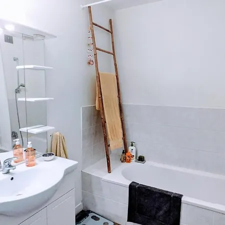 Charming Bright T2 Balcony Parking Telework Apartment Annecy